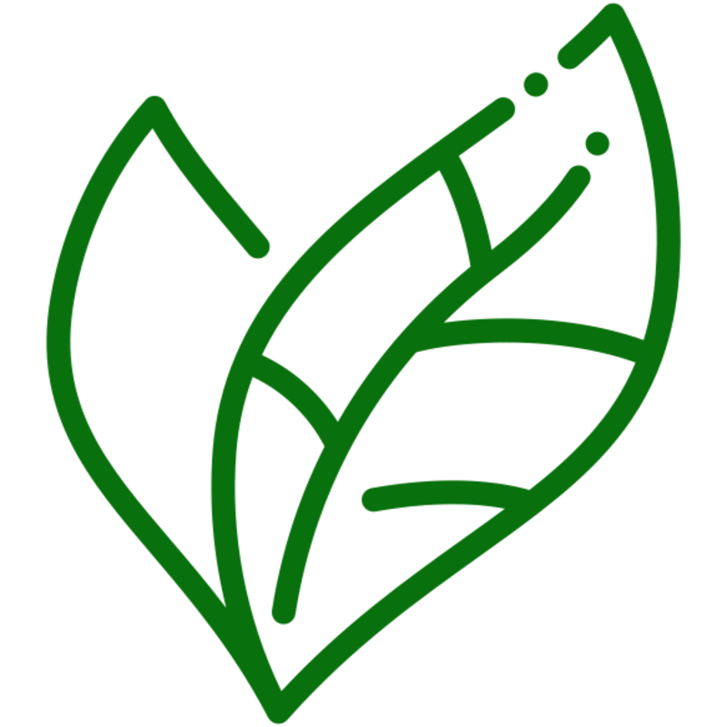 Medium bcebb44a a989 4e64 b9fa a1dce3b2632f