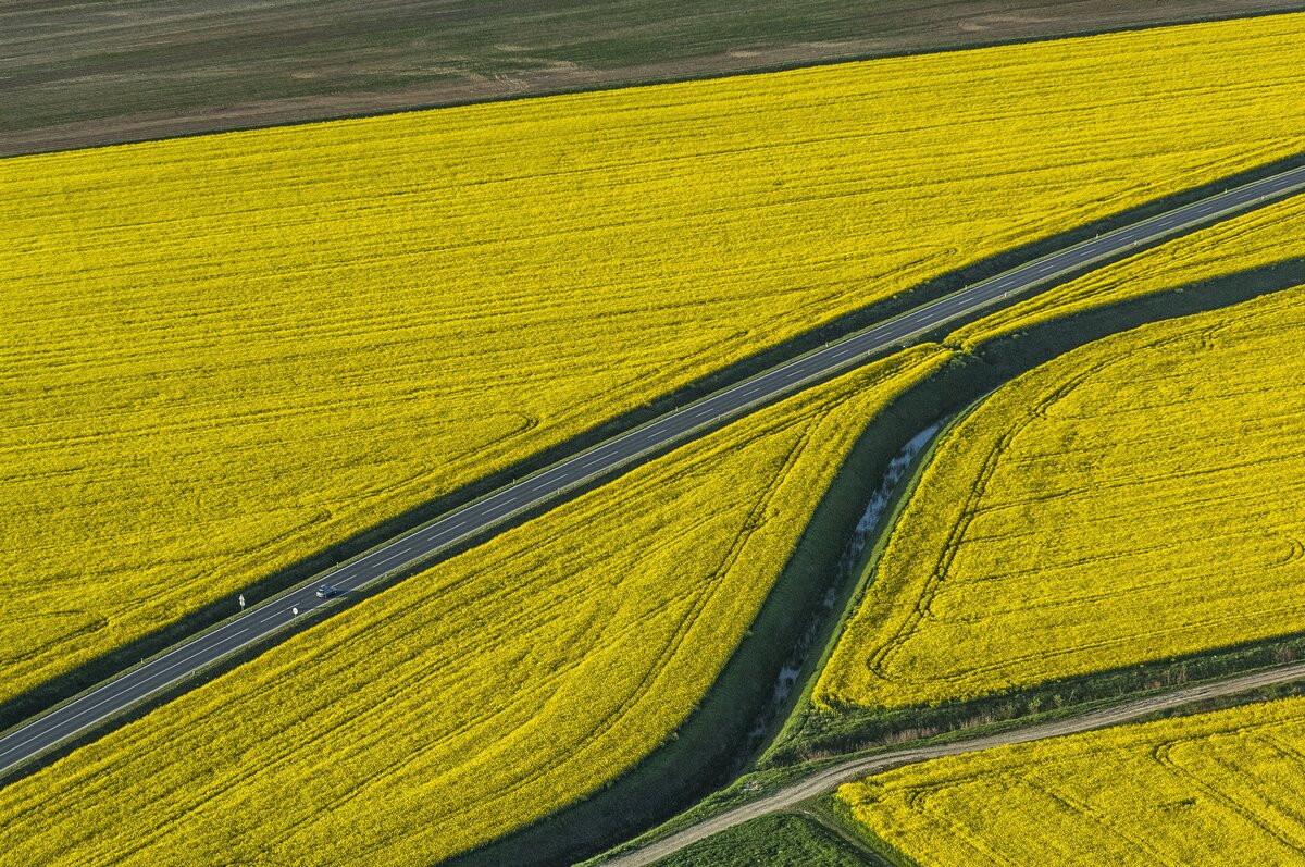 Large 06e4b047 ea03 437b a8f8 f277a7402e6c